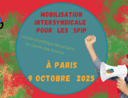 Intersyndicale SNEPAP-FSU & CGT-IP : Mobilisation des SPIP à Paris le 9.10.2025.
